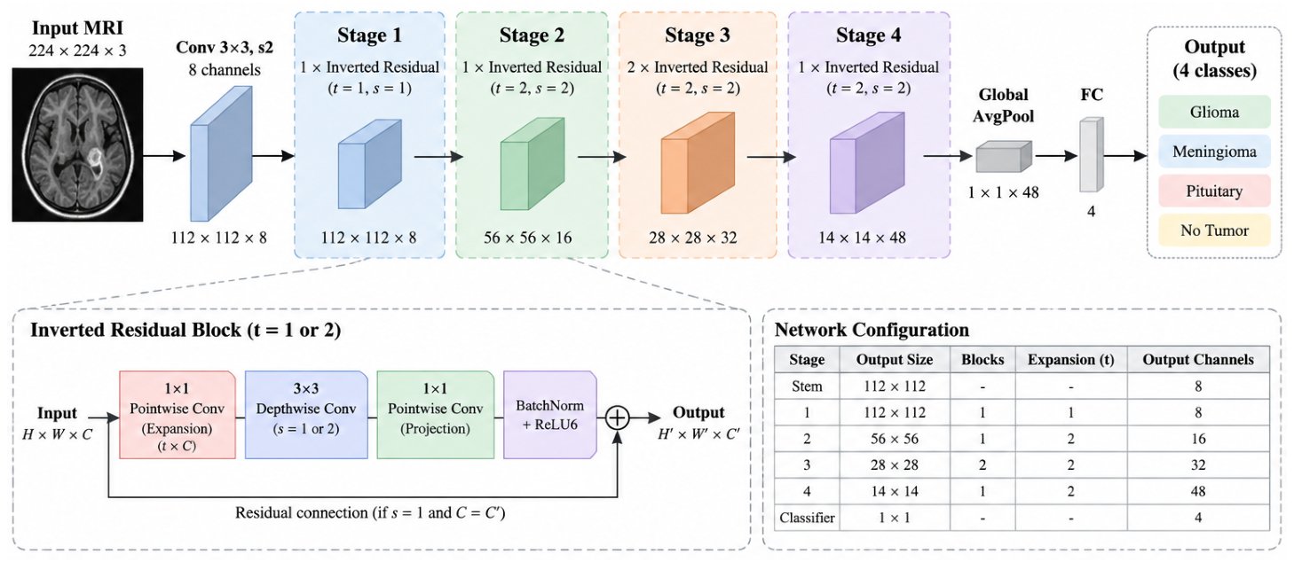 Figure 1: Overview of the NanoNet architecture.